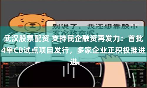 武汉股票配资 支持民企融资再发力：首批4单CB试点项目发行，多家企业正积极推进